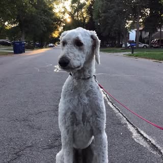 Profile Picture of Chase (@chasemegan_) on Instagram