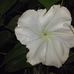 Profile Picture of James Haines (@james.haines.75641) on Facebook