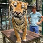 Profile Picture of Mark Roberts (@wolfof_bitcoin) on Instagram