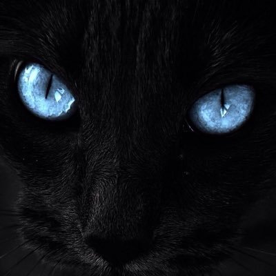 Profile Picture of Gustavo Viveros (@gustavoviveros4) on Twitter