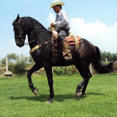 Profile Picture of Javier Michel (@javiermichel12) on Twitter