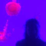 Profile Picture of Lily Eagan (@lilyeagan) on Instagram