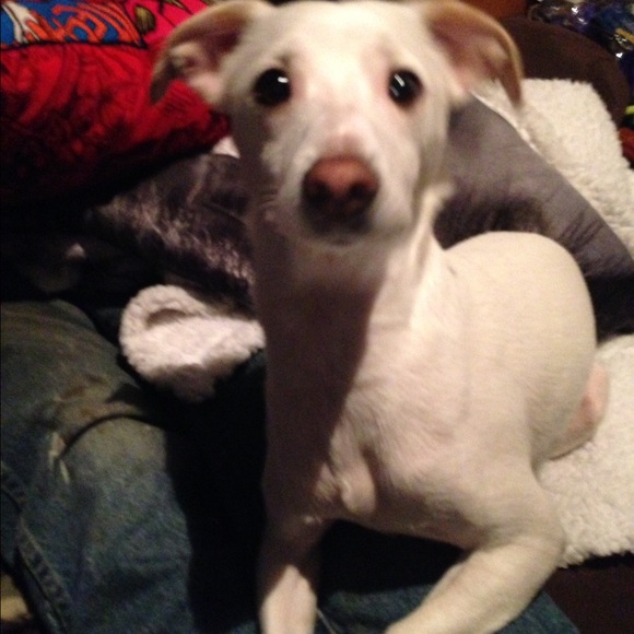 Profile Picture of Samantha Thygesen (@sambax91) on Poshmark