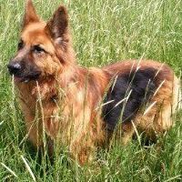 Profile Picture of Roxie Hall (@roxie-hall-3) on Quora