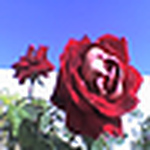 Profile Picture of Zahra_ali_syed (@zahra_ali_syed) on Flickr