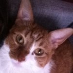 Profile Picture of Jenna Coyle (@jenmcoyle) on Instagram