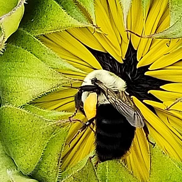 Profile Picture of Grace Mcelhinney (@gracemcelhinney) on Poshmark