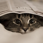 Profile Picture of Alexander Kazakov (@kazakov_alexander) on Flickr