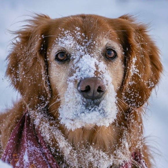 Profile Picture of Rob Phillips photography (@wphillips4947) on Poshmark