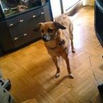 Profile Picture of Brigitte Erhart (@brgtterhart) on Instagram