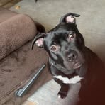 Profile Picture of Janya Palmer (@Janya-Palmer) on Facebook