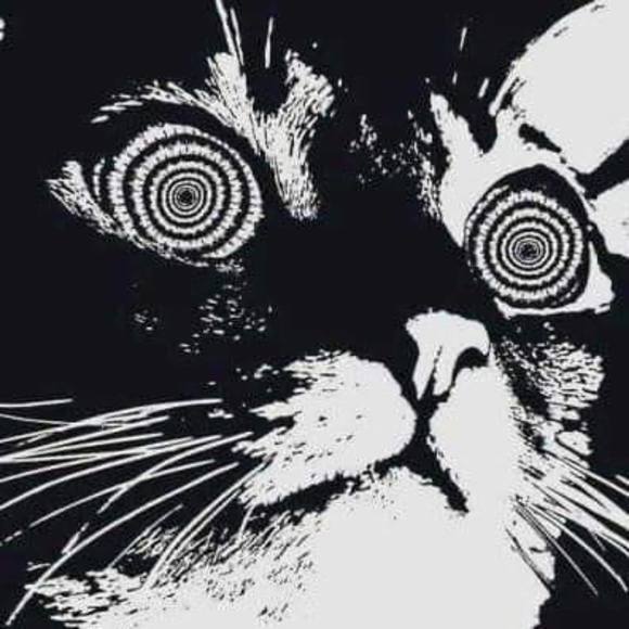 Profile Picture of Tiffany Maliff (@phuckmonkey) on Poshmark