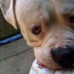 Profile Picture of richard bastow (@sirbastow) on Instagram