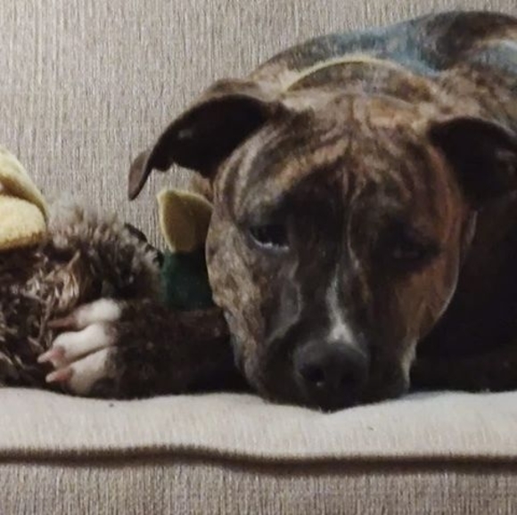 Profile Picture of Christopher Wozny (@rovieone98) on Poshmark