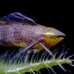 Profile Picture of Gina Davidson (@ginadavidson538) on Instagram