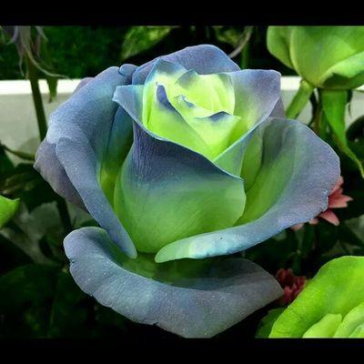 Profile Picture of Katia Elizabeth Espi (@@eliza7927keeh) on Twitter