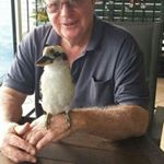 Profile Picture of Jim Hales (@jazzjwh) on Instagram