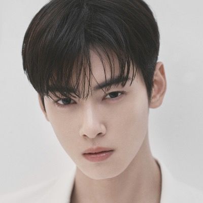 Profile Picture of 차은우 (@at_chaeunwoo) on Tiktok