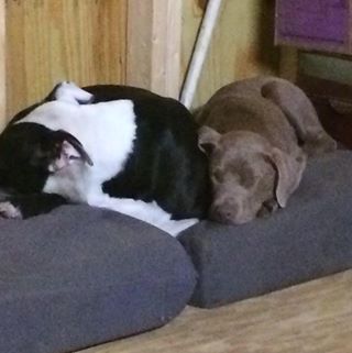 Profile Picture of Jonathan Colgin (@jonboy52122789) on Facebook