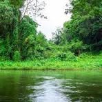 Profile Picture of Christopher Damon Lofton (@Christopher-Damon-Lofton) on Facebook