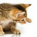 Profile Picture of Brandy Philip (@brandyphilip) on Instagram