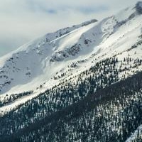 Profile Picture of RichardOshiro7980 (@richardoshiro7980) on Tiktok