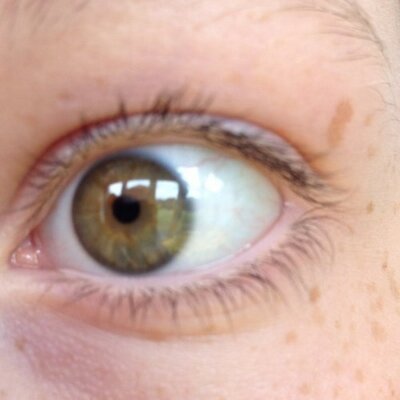 Profile Picture of Bryan Homan (@BryanAHoman) on Twitter