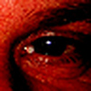 Profile Picture of Christopher Warnken (@sandgeese) on Flickr