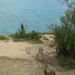 Profile Picture of Jill Betzold (@jbd2006) on Pinterest