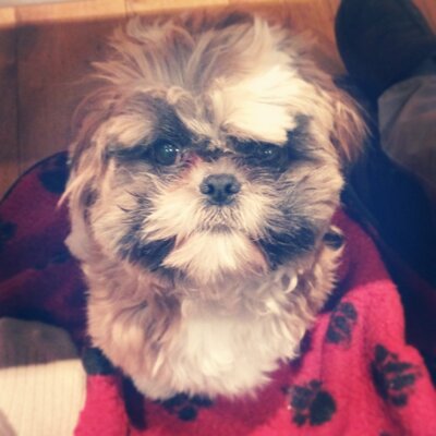 Profile Picture of Giles Edwards (@edwards_giles) on Twitter