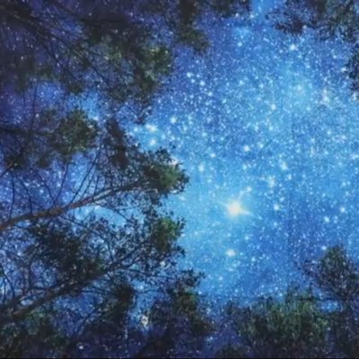 Profile Picture of Priscilla Quinn (@StarryEyedOwl02) on Twitter