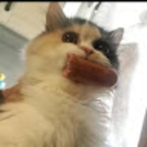 Profile Picture of Michael Wenger (@michaelwenge129) on Poshmark