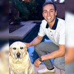 Profile Picture of Chris Koehler (@ckoala7) on Instagram