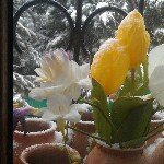 Profile Picture of Jody Thornton (@jodym1thornun) on Instagram