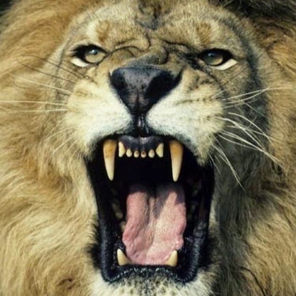 Profile Picture of Amaechi X (@amaechix) on Poshmark