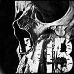 Profile Picture of Dustin Cottongim (@cottongimdustin) on Instagram