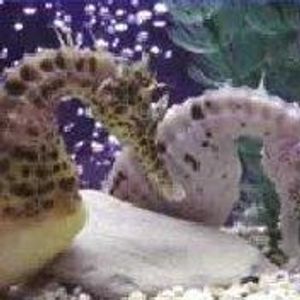 Profile Picture of Jackie Vance (@269970996) on Myspace