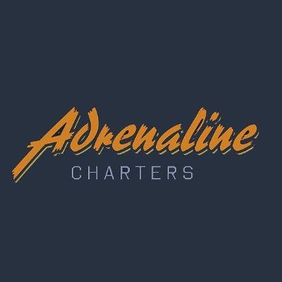 Profile Photo of James Soucie (@adrenalinechart) on Twitter