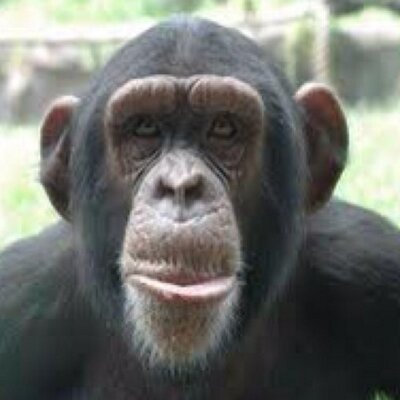 Profile Picture of John Piet (@leohhh1111) on Twitter