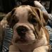 Profile Picture of Don Schell (@don.schell.35) on Facebook