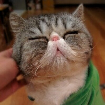 Profile Picture of JiaeKim (@JiaeKim78) on Twitter