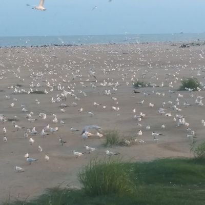 Profile Picture of Steven Mclendon (@StevenMclendon6) on Twitter