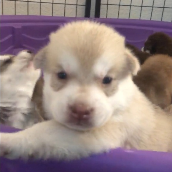 Profile Picture of Leann Richardson (@leann94803) on Poshmark