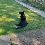 André Fiocchi - Facebook Profile Picture of André Fiocchi (@André-Fiocchi) on Facebook