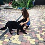 Profile Picture of Lisa Joseph (@lisa_joseph_osheahr3343) on Instagram