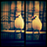 Profile Picture of Chia-Chin Chung (@chia chin) on Flickr