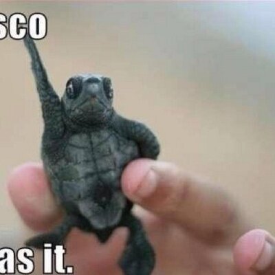 Profile Picture of Kyle Aa Macintyre (@AaKyleaamac) on Twitter