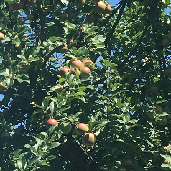 Profile Picture of Eunhye 🖤 (@enhi) on Poshmark