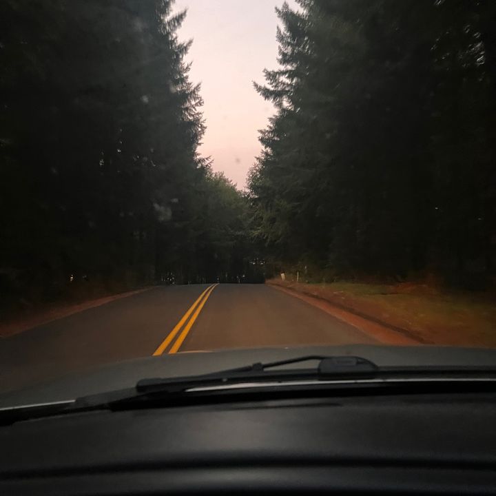 julia - Tiktok Profile Picture of julia (@juliawingman) on Tiktok