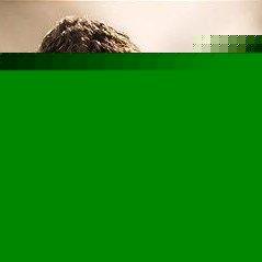 Profile Picture of Byron Solares (@333681837) on Myspace